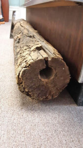 Keeseville 1800s water pipe